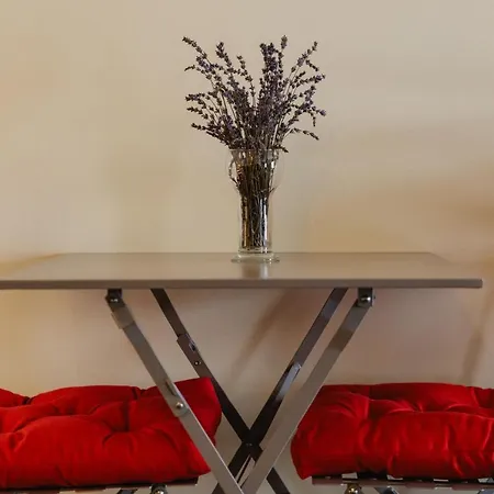 Apartment Proche Jardin Public Bordeaux